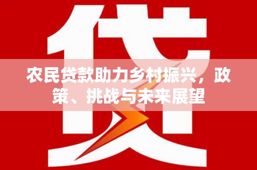 中寮农民贷款助力乡村振兴，政策、挑战与未来展望