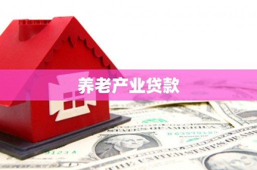 爱民养老产业贷款