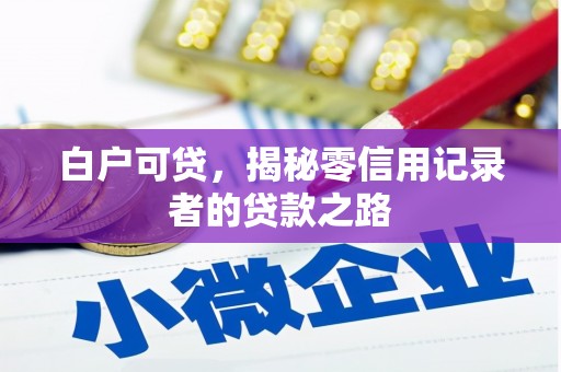 六安白户可贷，揭秘零信用记录者的贷款之路