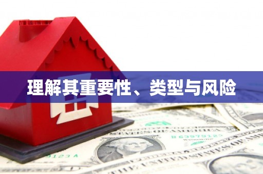 林周理解其重要性、类型与风险