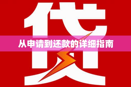 忻府从申请到还款的详细指南