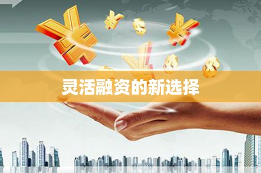 南化灵活融资的新选择