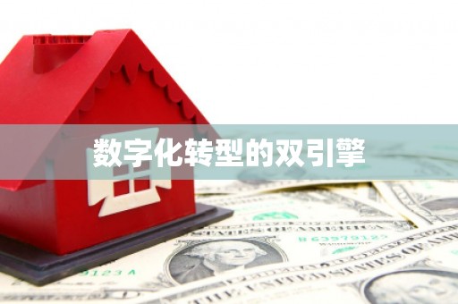 临翔数字化转型的双引擎