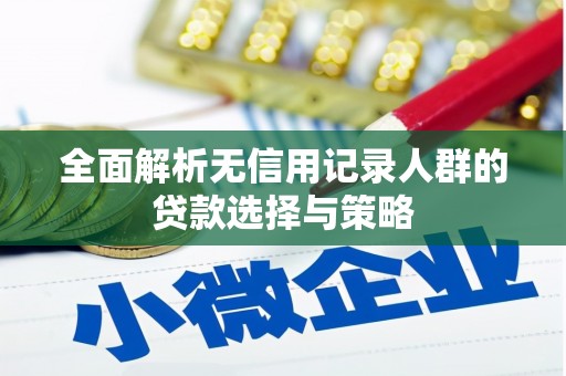 邵阳全面解析无信用记录人群的贷款选择与策略