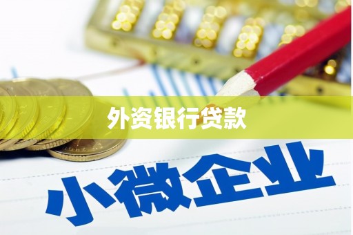 大邑外资银行贷款