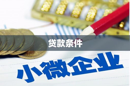 琼中贷款条件