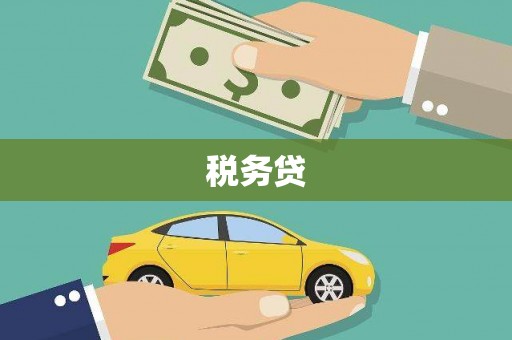 滑县税务贷