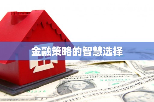 莎车金融策略的智慧选择
