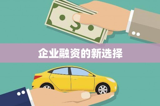 镇巴企业融资的新选择